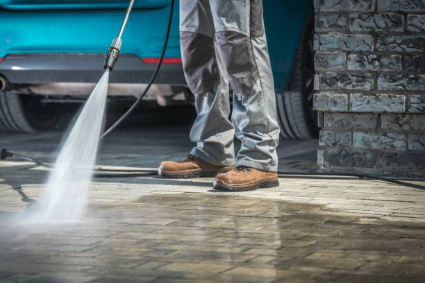 Best Restaurant Pressure Washing  in Shackle Island, TN