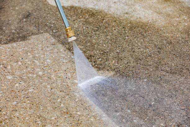 Best Animal Enclosure Cleaning  in Shackle Island, TN