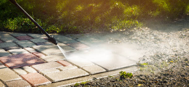Best Building Exterior Washing  in Shackle Island, TN
